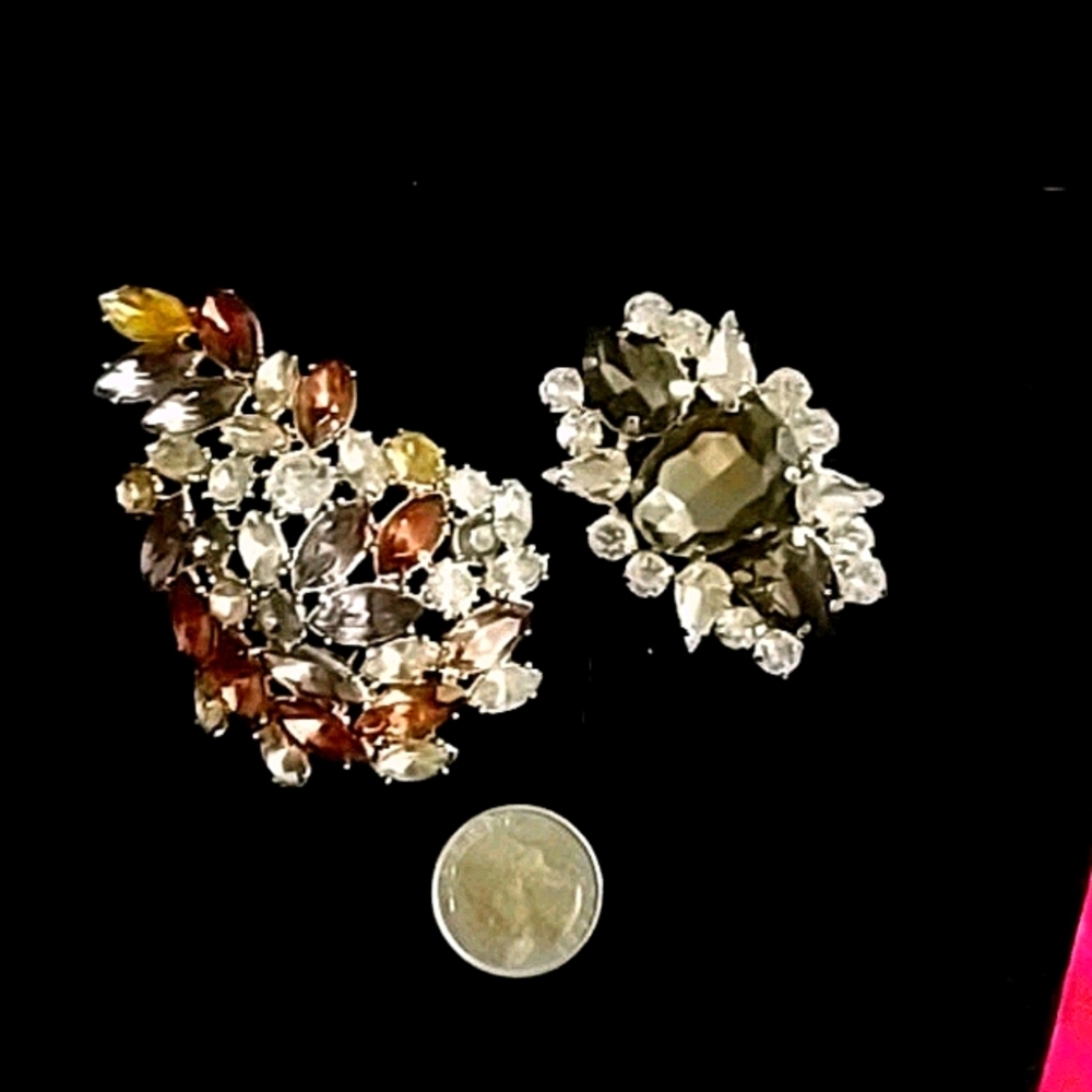 Jewelry Pin and Shoe buckle